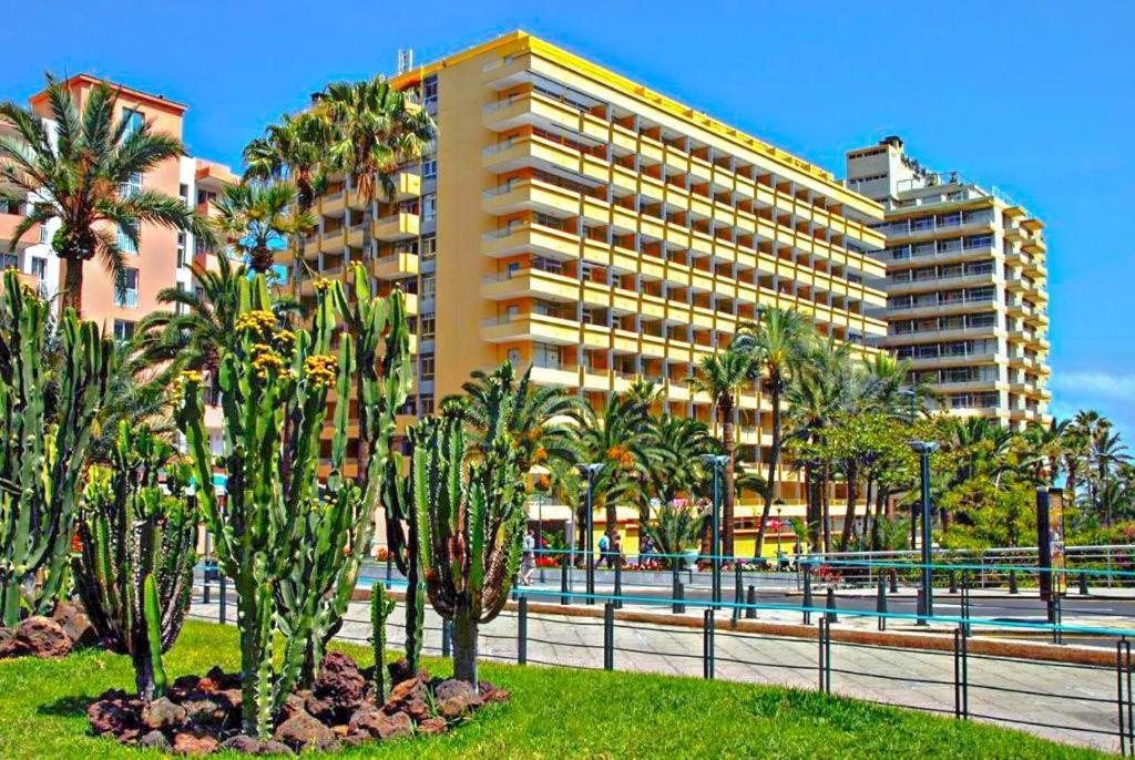 Amplio Estudio En Martianez Puerto de la Cruz  Luaran gambar